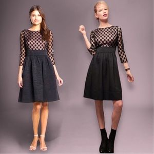 Eliza J Fit & Flare Cocktail Dress Sz L